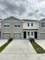 31206 Midnight Sun Wy in Wesley Chapel, FL - Building Photo
