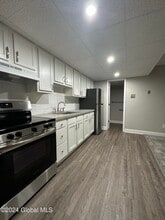 205 S Allen St in Albany, NY - Building Photo - Building Photo