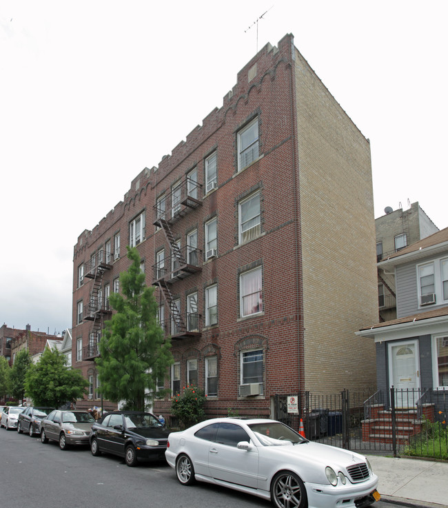 336 E 31st St in Brooklyn, NY - Foto de edificio - Building Photo