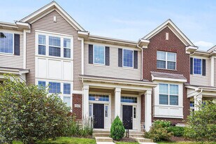 10619 W 153rd St in Orland Park, IL - Building Photo