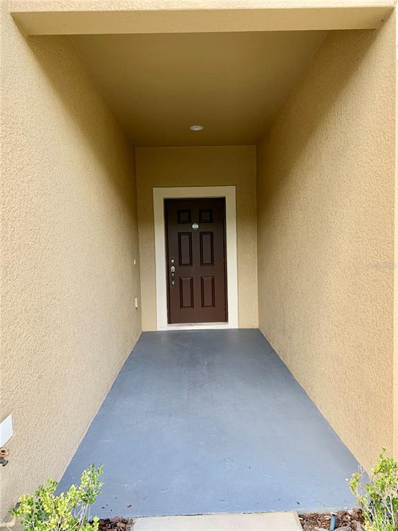 2621 Lantern Hill Ave in Brandon, FL - Building Photo - Building Photo