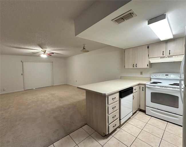 69 Village Dr in Flagler Beach, FL - Building Photo - Building Photo