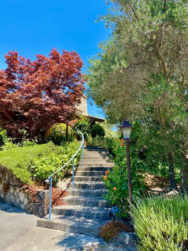 property at 3594 Silverado Trail N