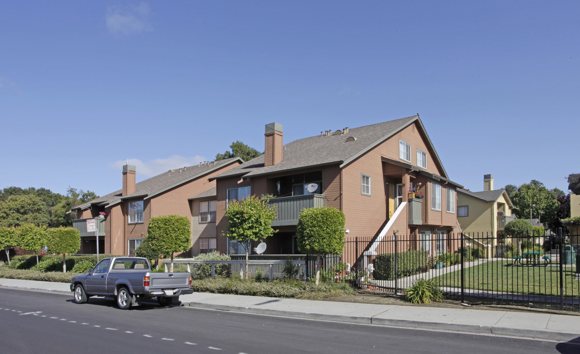 Bay Oak Apartments in Palo Alto, CA - Building Photo