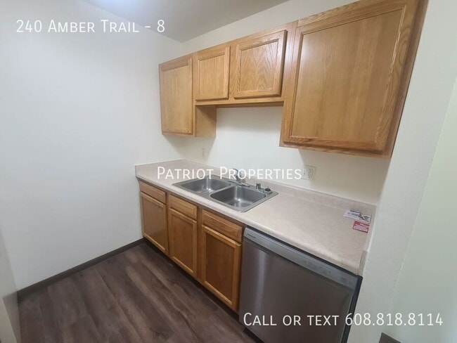 240 Amber Trail in Sun Prairie, WI - Building Photo - Building Photo