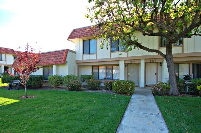 2906 Via De Paz in Carlsbad, CA - Building Photo - Building Photo
