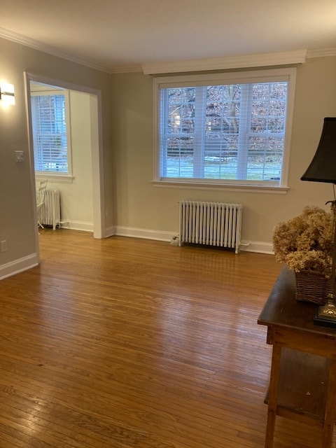 property at 236 S Kingsway