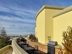 The Metropolitan in Berkeley, CA - Building Photo - Building Photo