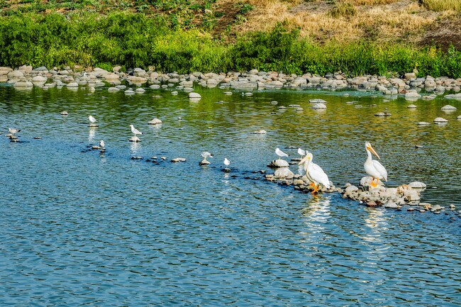 Apartamentos Alquiler en Maple Grove, MN