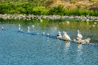 Apartments in Maple Grove, MN