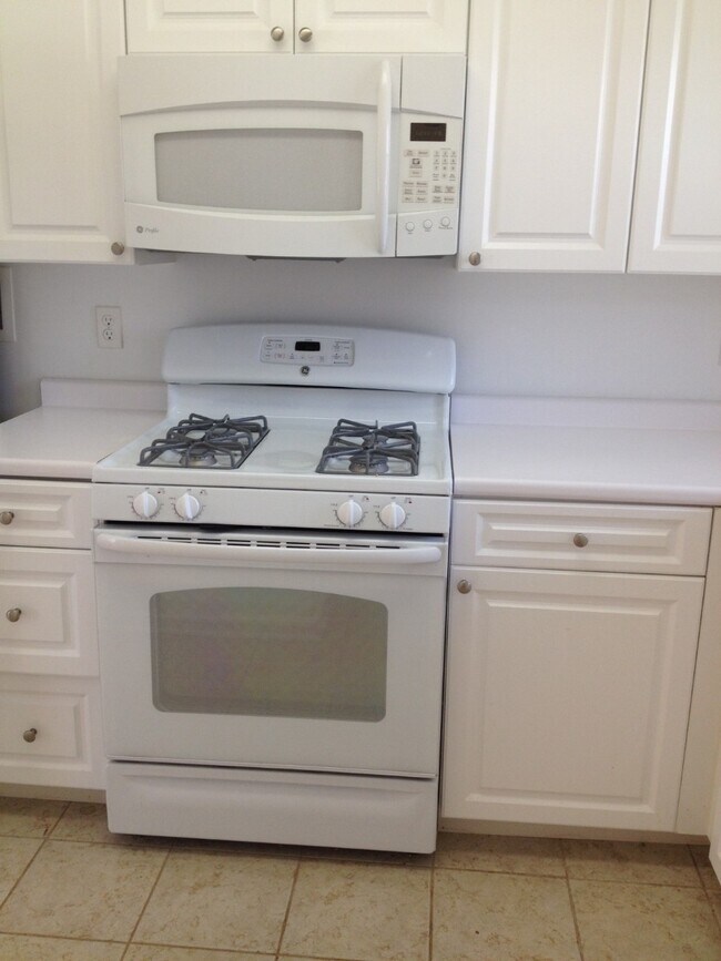 128 Gerry Rd, Unit 1 in Chestnut Hill, MA - Building Photo - Building Photo