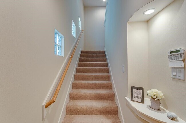 3703 Main Poplar Dr in Houston, TX - Building Photo - Building Photo