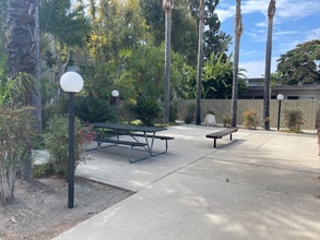 1590 W Palm Ln in Anaheim, CA - Foto de edificio - Building Photo