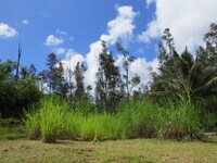 15-1414-1414 24th Ave photo'