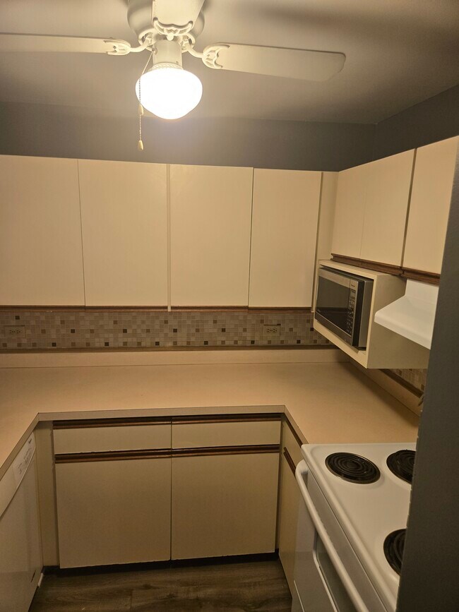 19 E Palatine Rd, Unit 2b in Arlington Heights, IL - Building Photo - Building Photo