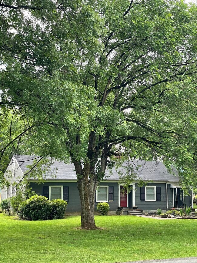 221 Parkview Ave photo'