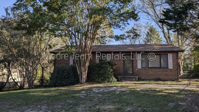 519 E Blue Ridge Rd in East Flat Rock, NC - Building Photo - Building Photo