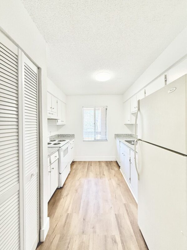 7517 Pitch Pine Cir in Tampa, FL - Building Photo - Building Photo