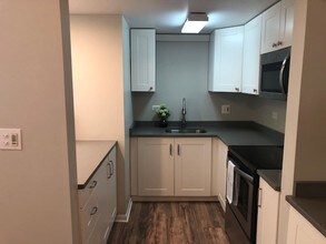 454 Spring Rd, Unit 6 in Elmhurst, IL - Building Photo - Building Photo