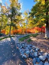 Village at Lake Wylie in Lake Wylie, SC - Building Photo - Building Photo