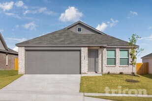 15229 Bullfighter Blvd in Haslet, TX - Building Photo