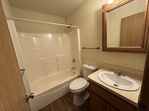 1101 Carrie Ln in Marseilles, IL - Building Photo - Building Photo