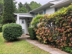 1606 Daniels Run Rd NE in Check, VA - Building Photo