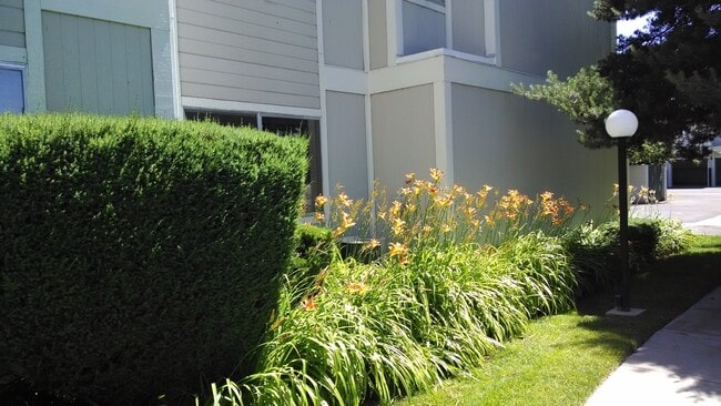 property at 2577 Sycamore Glen Dr