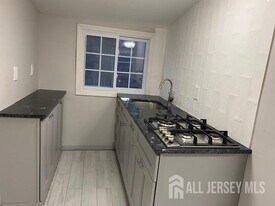 310 Somerset St in New Brunswick, NJ - Building Photo