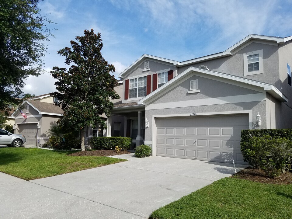 12510 Bay Branch Ct in Tampa, FL - Building Photo