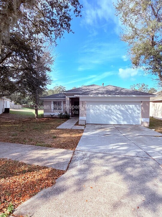 3006 Summer House Dr in Valrico, FL - Building Photo