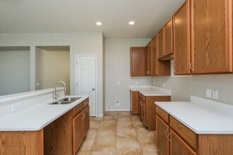 11171 Golden Silence Dr in Riverview, FL - Building Photo - Building Photo