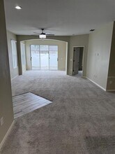 2929 Tanglewylde Dr in Land O Lakes, FL - Building Photo - Building Photo