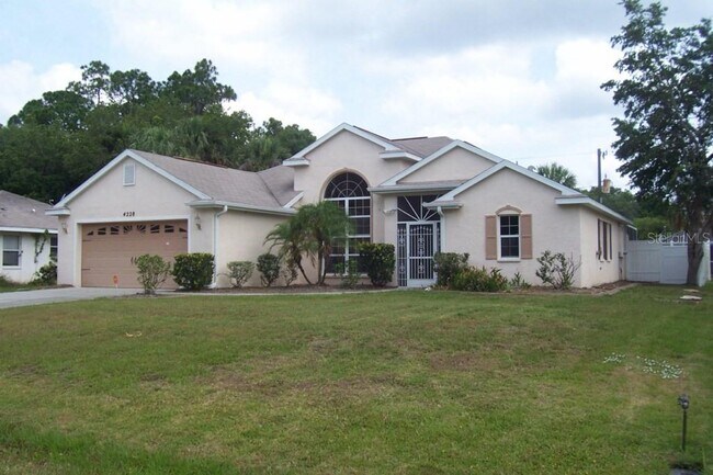 property at 4228 Chiffon Ln