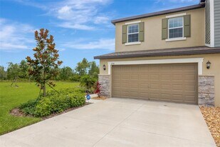 17741 Tawny Malt Pl in Land O Lakes, FL - Building Photo
