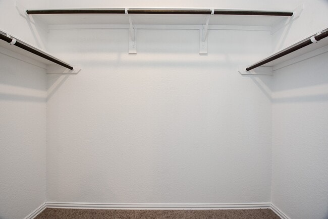 property at 31326 Black Frst Xing