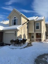267 Cobblestone Ct in Schaumburg, IL - Building Photo