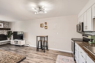 1008 Corona St in Denver, CO - Foto de edificio - Building Photo