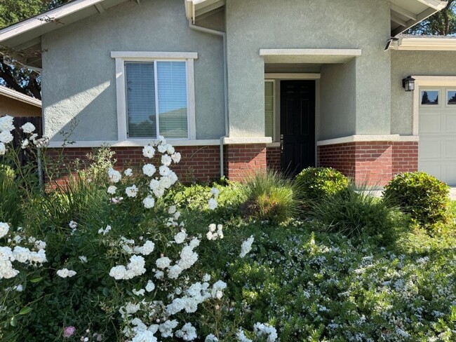 1547 Hutchison Valley Dr in Woodland, CA - Building Photo - Building Photo