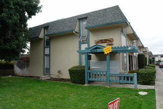 Chateau Central Apartment in Fremont, CA - Building Photo - Building Photo