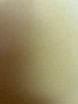 8725 46th Plz W in Mukilteo, WA - Building Photo