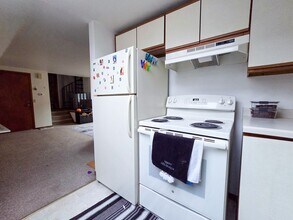 438 W Wilson St in Madison, WI - Building Photo - Building Photo