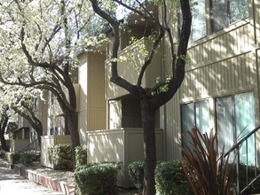 Date Tree Apartments in Sacramento, CA - Building Photo - Building Photo