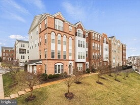 20581 Geddes Ter in Ashburn, VA - Building Photo