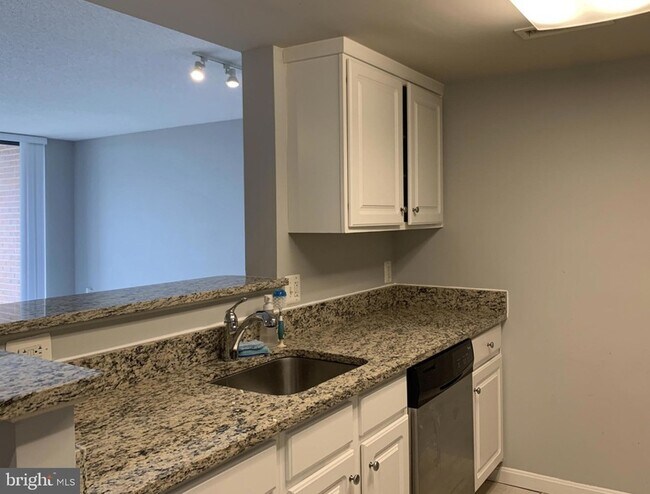 11710 Old Georgetown Rd, Unit 1012 in North Bethesda, MD - Building Photo - Building Photo