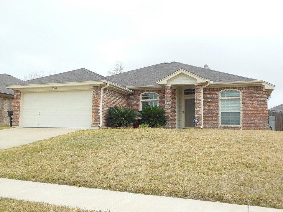 3903 Tiger Dr in Killeen, TX - Building Photo