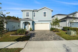 33893 Floating Heart Ct in Zephyrhills, FL - Building Photo