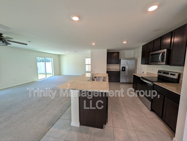 13686 Whiskey Daisy Dr in Dade City, FL - Building Photo - Building Photo