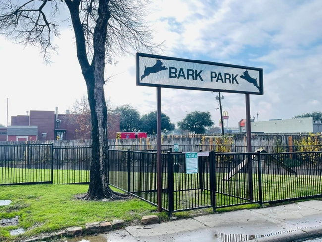 3203 W Walnut Hill Ln in Irving, TX - Building Photo - Building Photo