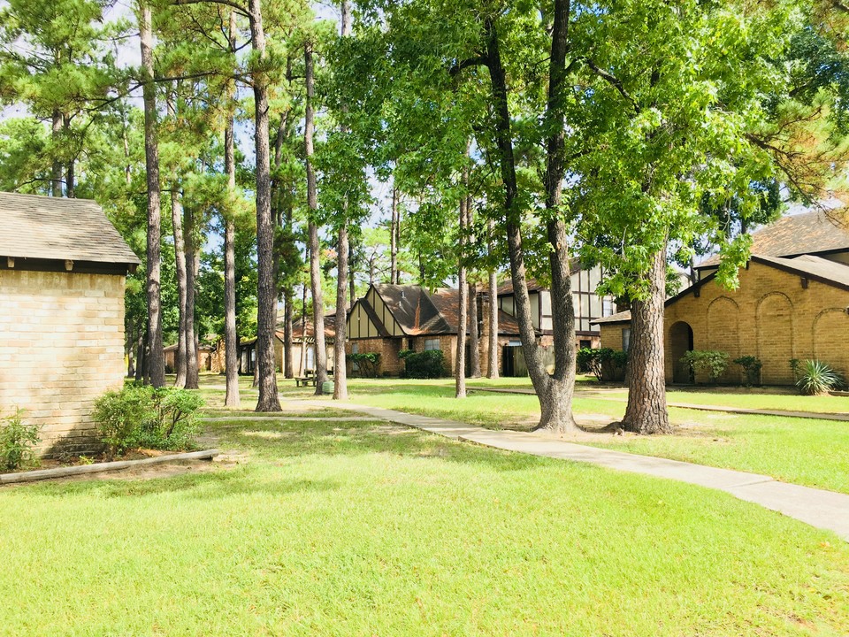 Pinewood Townhomes in Conroe, TX - Building Photo